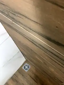 Snapshot of bfelipedasilva chatting on October 25, 2025, 3:25 am bfelipedasilva online show from October 25, 2025, 3:25 am