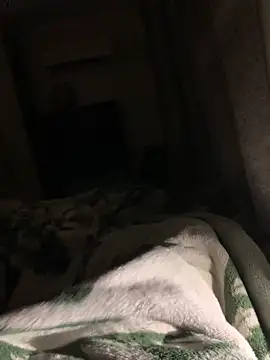 Snapshot of bfelipedasilva chatting on November 6, 2025, 2:12 am bfelipedasilva online show from November 6, 2025, 2:12 am