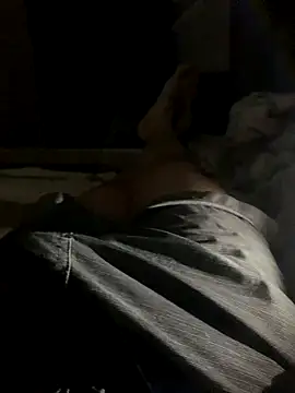 Snapshot of bfelipedasilva chatting on December 4, 2025, 1:48 am bfelipedasilva online show from December 4, 2025, 1:48 am