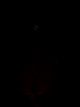 Mampykolkata online show from November 15, 2025, 5:42 pm