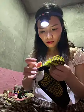 Yunzang online show from February 28, 2026, 1:01 pm