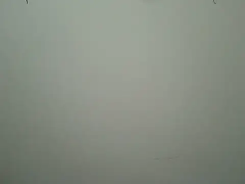 beadfeizi online show from October 31, 2025, 4:08 pm