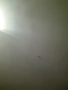 Snapshot of HarrySchwanz1000 chatting on October 27, 2025, 2:59 am HarrySchwanz1000 online show from October 27, 2025, 2:59 am