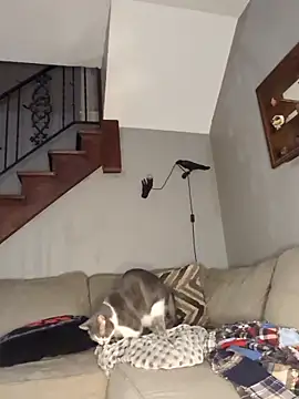 mattiethebaddieee online show from March 21, 2026, 2:38 am