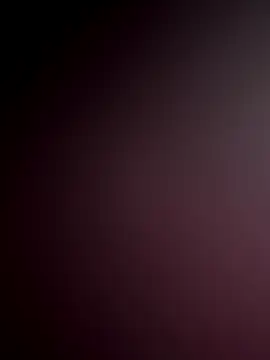 WildNour online show from November 18, 2025, 6:51 am