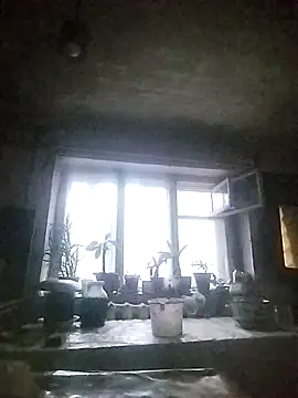 Lana-murr online show from March 25, 2026, 3:29 pm