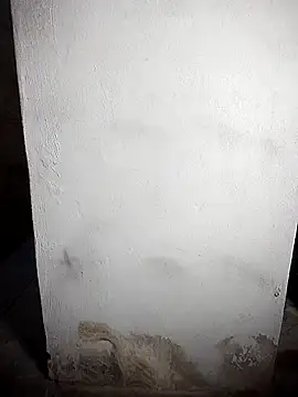 BD 228 online show from February 19, 2026, 12:06 am