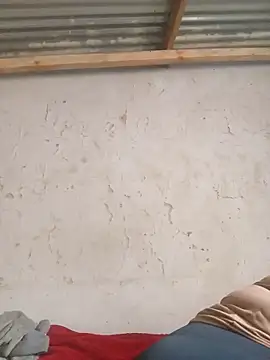 3bigcuteness online show from November 14, 2025, 10:03 am