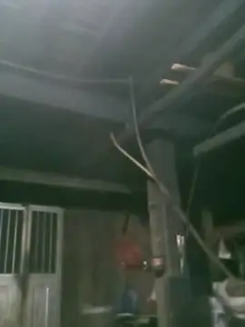 matbiec- online show from November 19, 2025, 10:32 pm