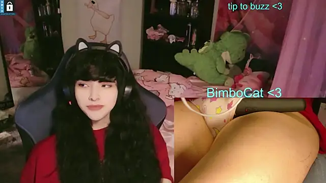BimboCat online show from June 13, 2026, 8:07 pm