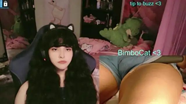 BimboCat online show from June 14, 2026, 2:35 am