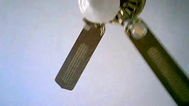 Sylviastar46 online show from November 11, 2025, 2:50 pm