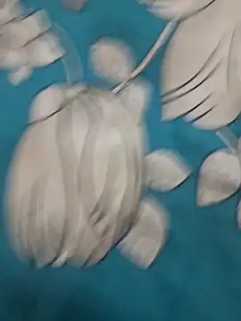 Haryanvi sanju online show from March 15, 2026, 4:13 pm