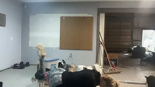 Snapshot of lanasharapovaxxx chatting on February 25, 2026, 9:02 pm lanasharapovaxxx online show from February 25, 2026, 9:02 pm