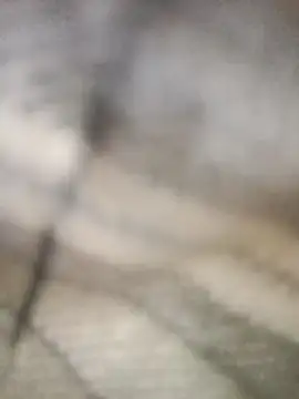 Pallu Asha online show from March 1, 2026, 4:25 am