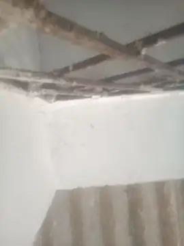 Pallu Asha online show from April 28, 2026, 12:53 am