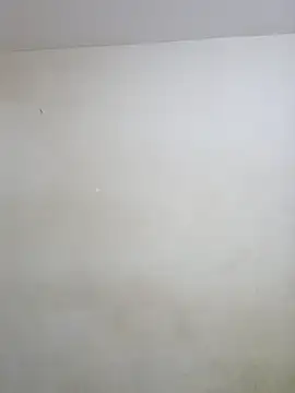 negramenta online show from January 15, 2026, 11:48 am