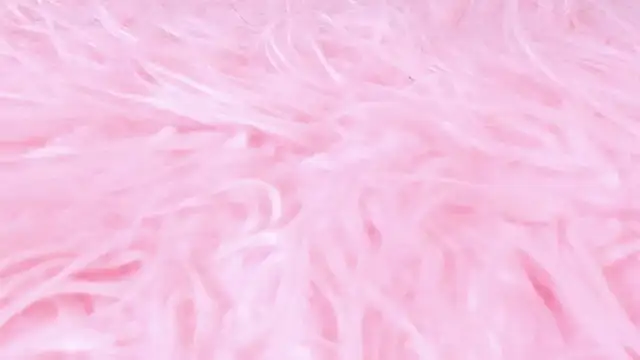 Snapshot of scarlett_leblanc_ chatting on March 24, 2026, 11:59 am scarlett leblanc online show from March 24, 2026, 11:59 am