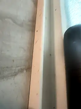 RobsBigD online show from October 30, 2025, 6:19 pm