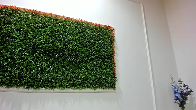 Rania Wild online show from January 17, 2026, 8:23 pm