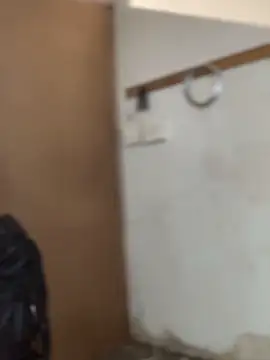 Ndodemnyamaxh online show from December 20, 2025, 6:04 pm