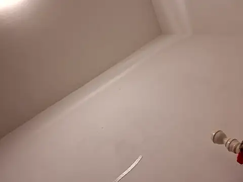 rebebia13 online show from November 29, 2025, 2:14 am