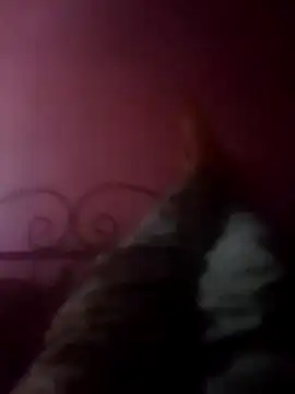 Snapshot of Narwindruners chatting on November 3, 2025, 6:53 pm Narwindruners online show from November 3, 2025, 6:53 pm