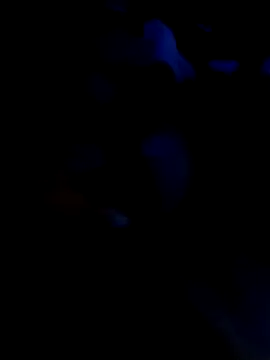 KARNEs24666 online show from November 7, 2025, 9:31 am