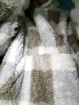 Snapshot of AnimalModeLive chatting on November 9, 2025, 2:04 pm AnimalModeLive online show from November 9, 2025, 2:04 pm