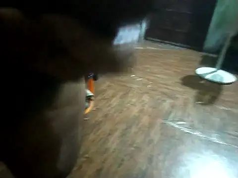 BdTinyDick online show from November 11, 2025, 6:19 pm