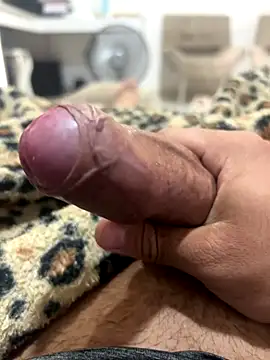 Lp201  online show from November 14, 2025, 6:39 pm