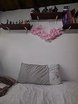 salomehill1 online show from December 17, 2025, 8:04 pm