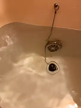 houkeiboy78 online show from December 2, 2025, 10:31 am