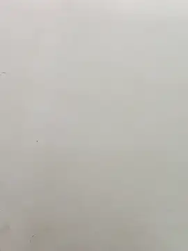 sanjana077 online show from March 3, 2026, 1:23 am