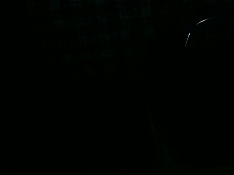 ellsaBunny online show from November 6, 2025, 1:28 am