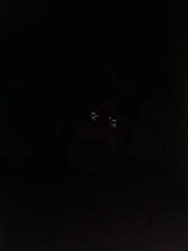 bruno 324278 online show from May 28, 2026, 2:53 am