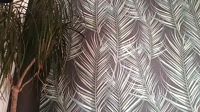 Snapshot of CuteDaddy92 chatting on December 19, 2025, 2:24 pm CuteDaddy92 online show from December 19, 2025, 2:24 pm