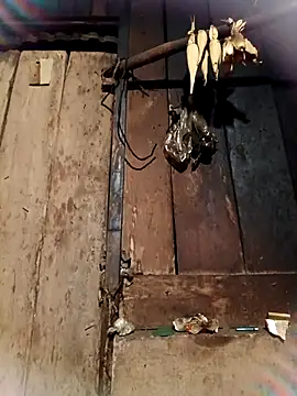 -Chua-90 online show from February 26, 2026, 10:53 pm