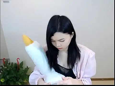 Shaurk online show from February 2, 2026, 2:43 am