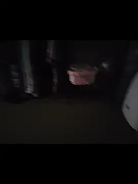 piggylatino online show from December 15, 2025, 8:07 am