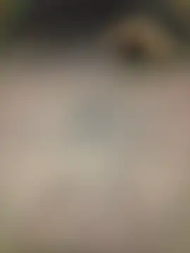 piggylatino online show from February 2, 2026, 6:01 am