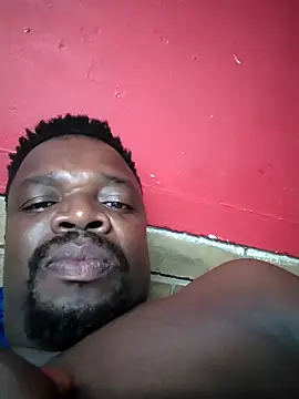 Vendadickman online show from November 12, 2025, 8:52 pm