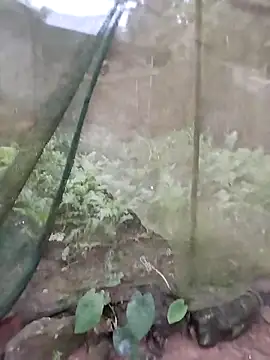 gugu0022 online show from February 25, 2026, 11:25 pm