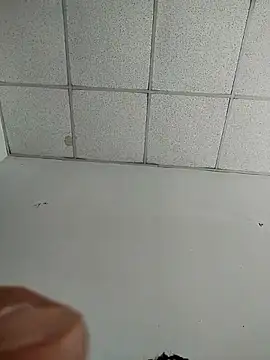 platone09 online show from April 20, 2026, 12:30 pm