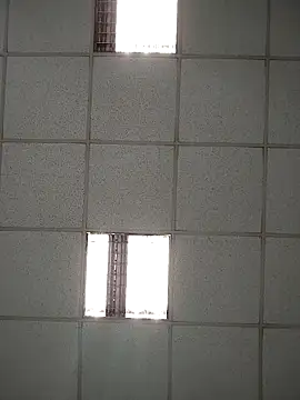 platone09 online show from April 21, 2026, 2:12 pm