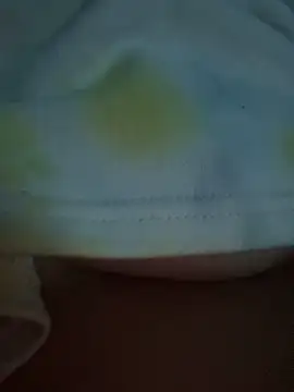 Snapshot of Miss_nymph chatting on November 17, 2025, 3:01 am Miss nymph online show from November 17, 2025, 3:01 am