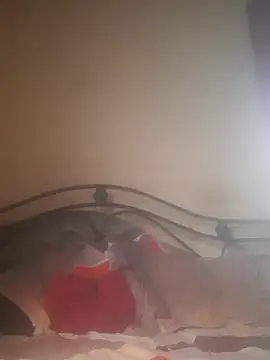 Snapshot of Shivona chatting on November 28, 2025, 3:53 am Shivona online show from November 28, 2025, 3:53 am