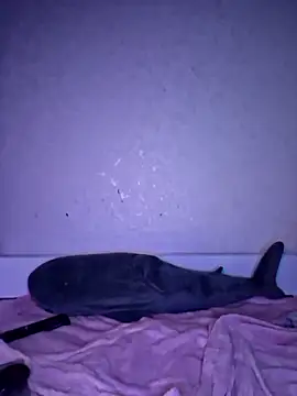 carolinakis  online show from December 18, 2025, 8:26 pm