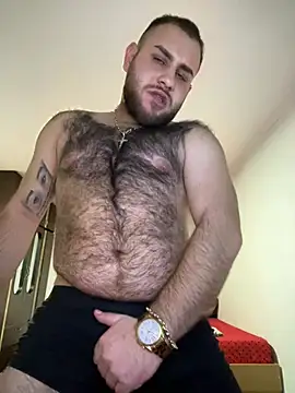 Andreiandu23 online show from February 12, 2026, 6:25 pm