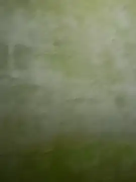 Snapshot of Uplk chatting on November 17, 2025, 11:49 am Uplk online show from November 17, 2025, 11:49 am